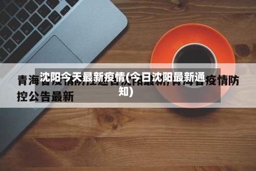 沈阳今天最新疫情(今日沈阳最新通知)-第2张图片