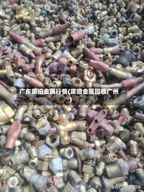 广东废旧金属行情(废旧金属回收广州)