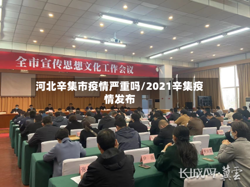 河北辛集市疫情严重吗/2021辛集疫情发布-第3张图片