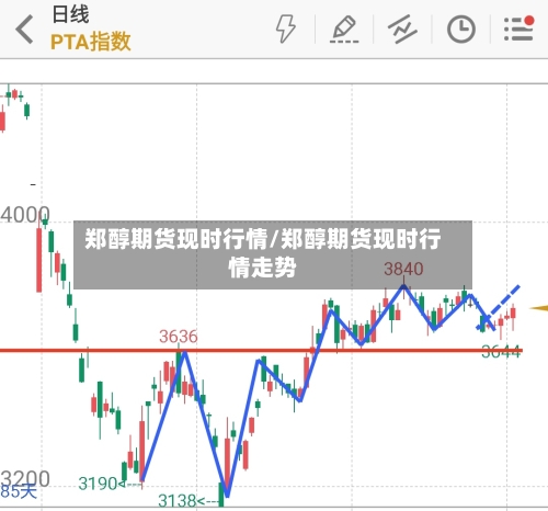 郑醇期货现时行情/郑醇期货现时行情走势