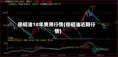 棕榈油10年费用行情(棕榈油近期行情)-第3张图片