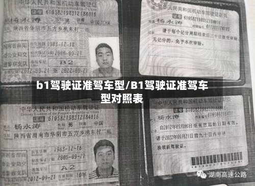 b1驾驶证准驾车型/B1驾驶证准驾车型对照表-第2张图片