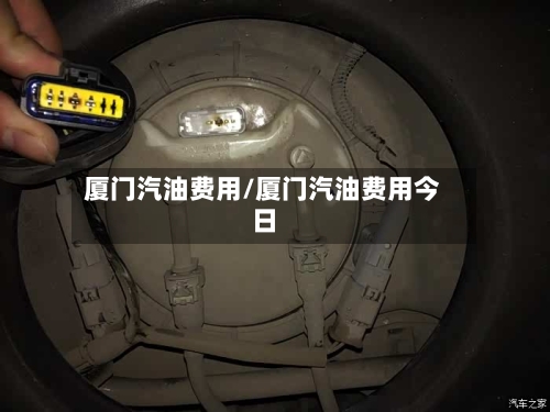 厦门汽油费用/厦门汽油费用今日-第3张图片