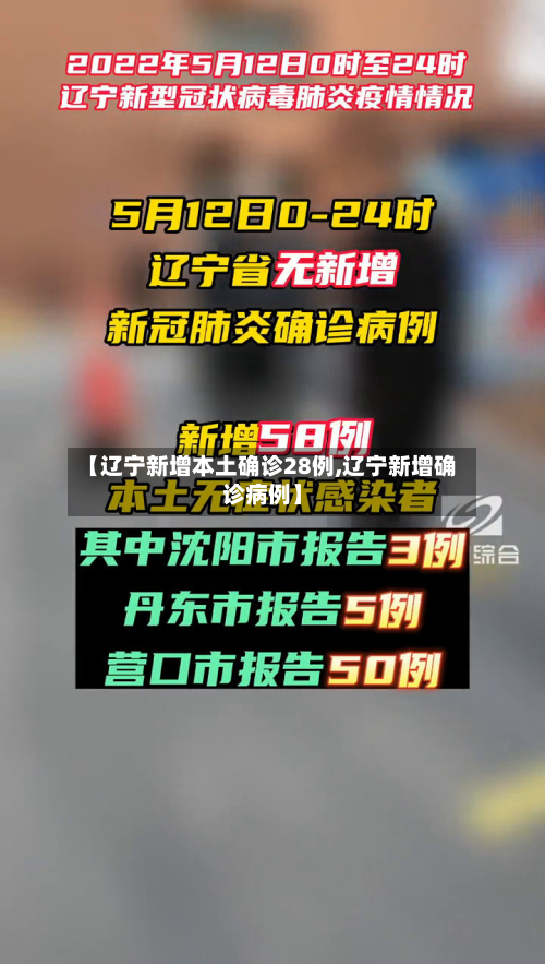 【辽宁新增本土确诊28例,辽宁新增确诊病例】-第2张图片