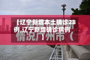 【辽宁新增本土确诊28例,辽宁新增确诊病例】