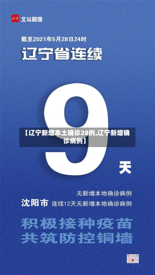 【辽宁新增本土确诊28例,辽宁新增确诊病例】-第3张图片