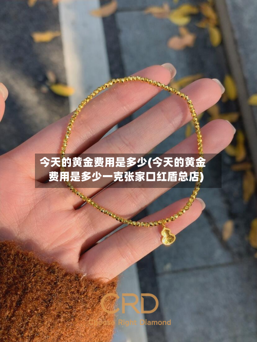 今天的黄金费用是多少(今天的黄金费用是多少一克张家口红盾总店)