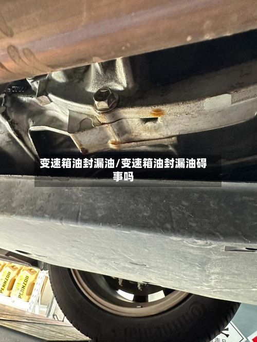 变速箱油封漏油/变速箱油封漏油碍事吗-第2张图片