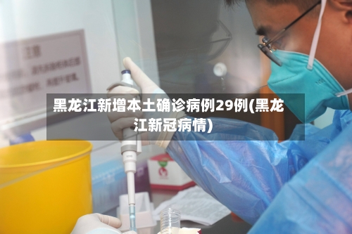 黑龙江新增本土确诊病例29例(黑龙江新冠病情)-第2张图片