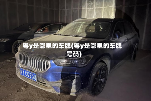 粤y是哪里的车牌(粤y是哪里的车牌号码)