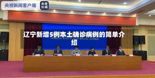 辽宁新增5例本土确诊病例的简单介绍-第3张图片