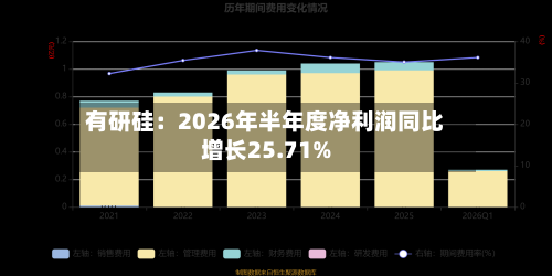 有研硅：2026年半年度净利润同比增长25.71%-第1张图片