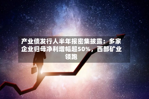 产业债发行人半年报密集披露：多家企业归母净利增幅超50%	，西部矿业领跑-第2张图片