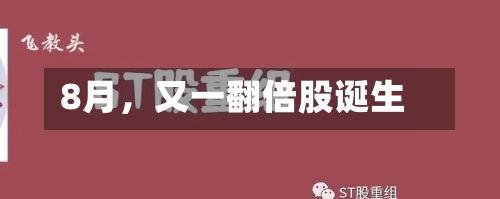 8月，又一翻倍股诞生-第2张图片