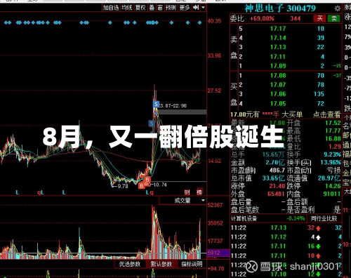 8月，又一翻倍股诞生