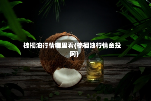 棕榈油行情哪里看(棕榈油行情金投网)-第2张图片