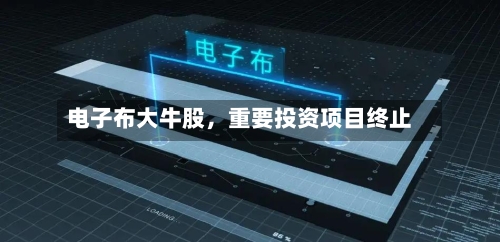 电子布大牛股	，重要投资项目终止-第1张图片