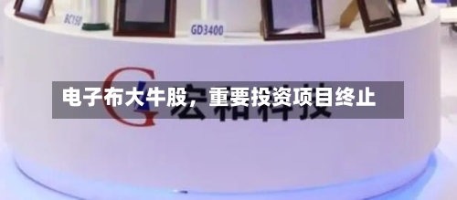 电子布大牛股，重要投资项目终止-第2张图片