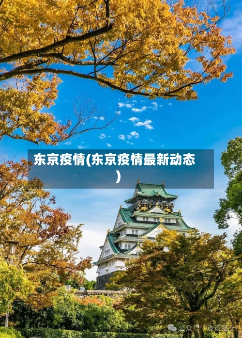东京疫情(东京疫情最新动态)-第2张图片