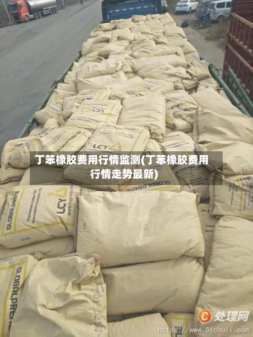 丁笨橡胶费用行情监测(丁苯橡胶费用行情走势最新)-第2张图片