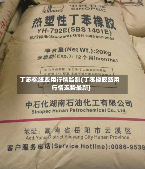 丁笨橡胶费用行情监测(丁苯橡胶费用行情走势最新)-第3张图片