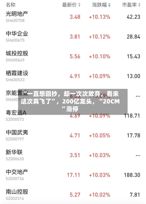 “一直想回抄	，却一次次放弃，看来这次真飞了”，200亿龙头	，“20CM	”涨停-第3张图片