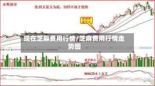 现在芝麻费用行情/芝麻费用行情走势图-第2张图片
