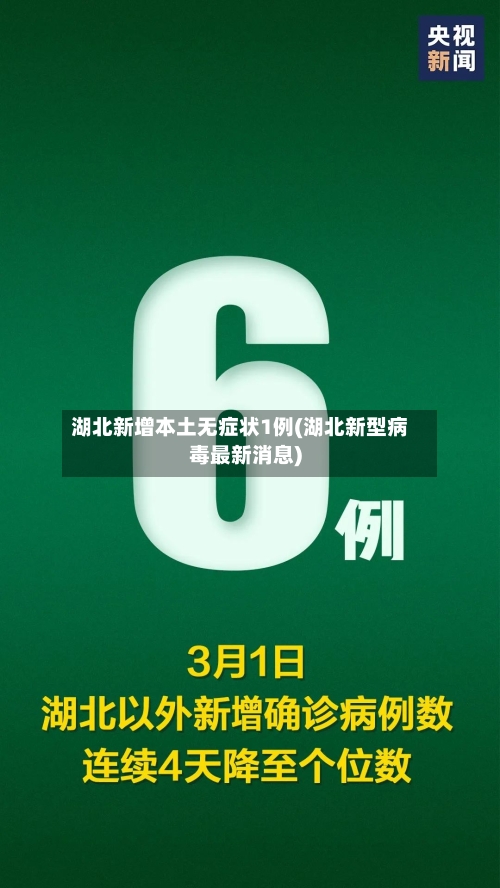 湖北新增本土无症状1例(湖北新型病毒最新消息)-第2张图片