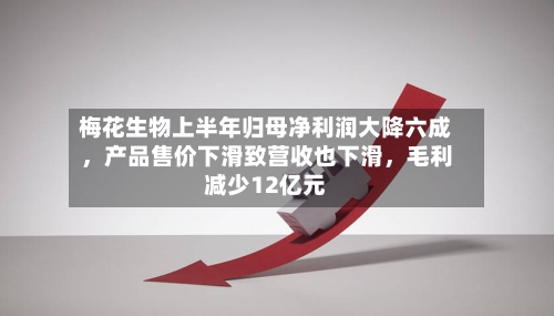 梅花生物上半年归母净利润大降六成，产品售价下滑致营收也下滑，毛利减少12亿元-第2张图片