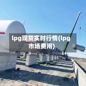 lpg现货实时行情(lpg市场费用)-第2张图片