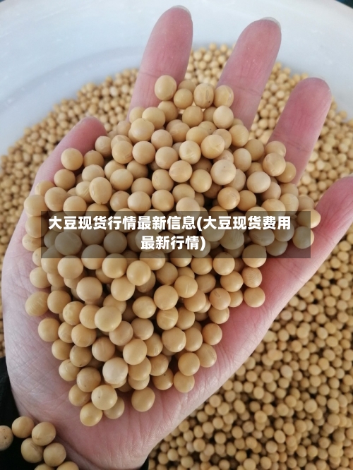 大豆现货行情最新信息(大豆现货费用最新行情)