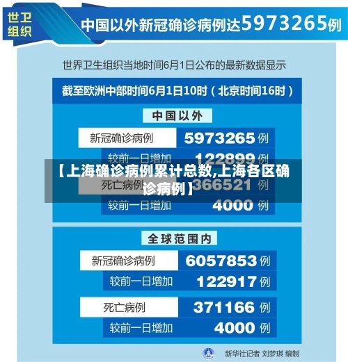 【上海确诊病例累计总数,上海各区确诊病例】-第3张图片
