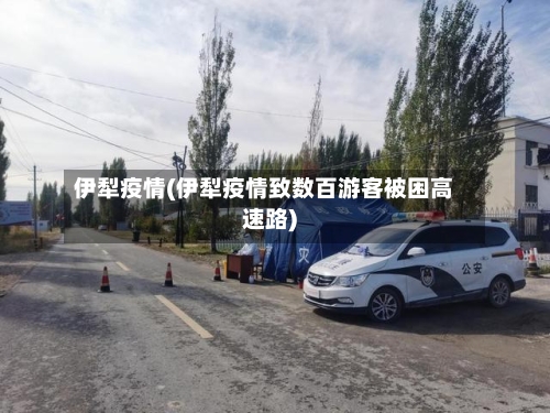 伊犁疫情(伊犁疫情致数百游客被困高速路)