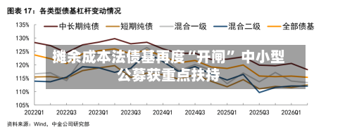 摊余成本法债基再度“开闸	” 中小型公募获重点扶持-第2张图片
