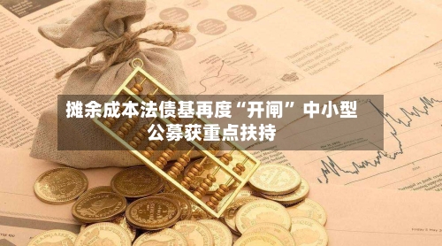 摊余成本法债基再度“开闸” 中小型公募获重点扶持-第3张图片