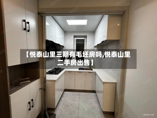 【悦泰山里三期有毛坯房吗,悦泰山里二手房出售】-第3张图片