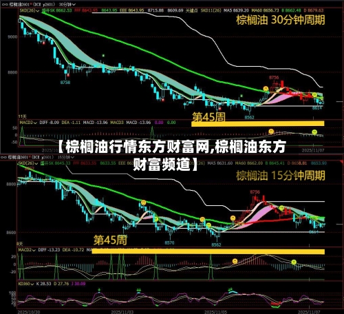 【棕榈油行情东方财富网,棕榈油东方财富频道】-第3张图片