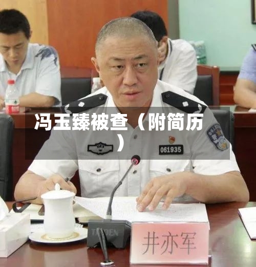 冯玉臻被查（附简历）-第2张图片