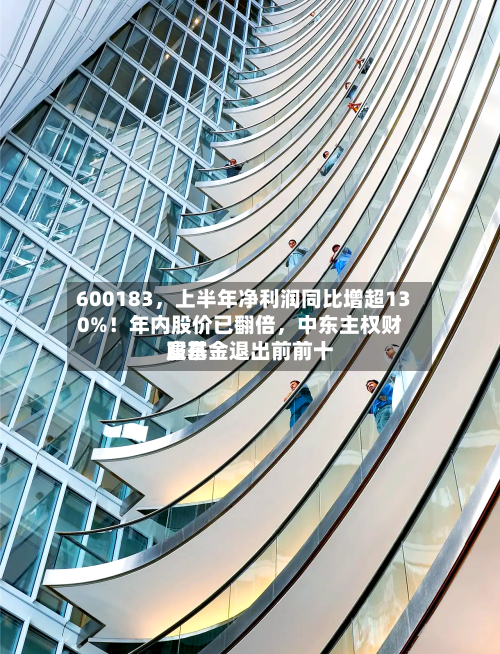 600183，上半年净利润同比增超130%！年内股价已翻倍，中东主权财富基金退出前前十股东-第1张图片