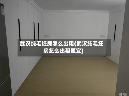 武汉纯毛坯房怎么出租(武汉纯毛坯房怎么出租便宜)-第2张图片