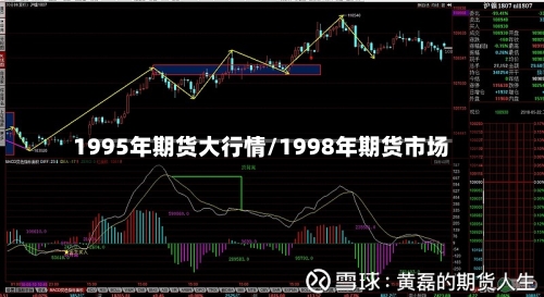1995年期货大行情/1998年期货市场-第2张图片