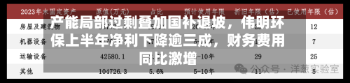 产能局部过剩叠加国补退坡，伟明环保上半年净利下降逾三成，财务费用同比激增