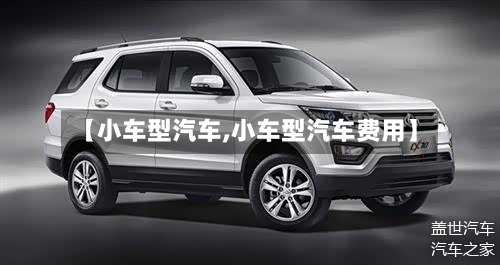 【小车型汽车,小车型汽车费用】-第3张图片