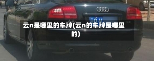 云n是哪里的车牌(云n的车牌是哪里的)