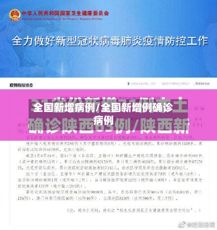 全国新增病例/全国新增例确诊病例
