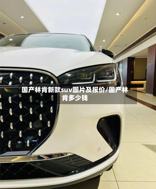 国产林肯新款suv图片及报价/国产林肯多少钱-第3张图片
