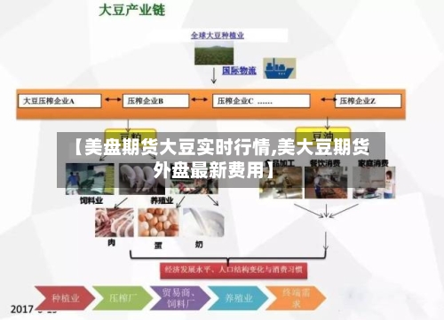 【美盘期货大豆实时行情,美大豆期货外盘最新费用】