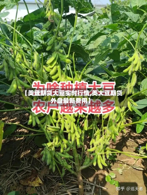 【美盘期货大豆实时行情,美大豆期货外盘最新费用】-第3张图片