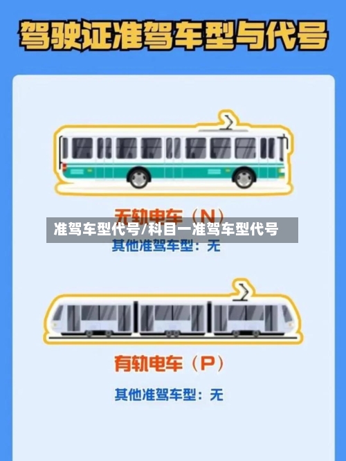 准驾车型代号/科目一准驾车型代号