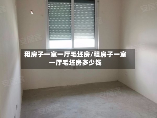 租房子一室一厅毛坯房/租房子一室一厅毛坯房多少钱
